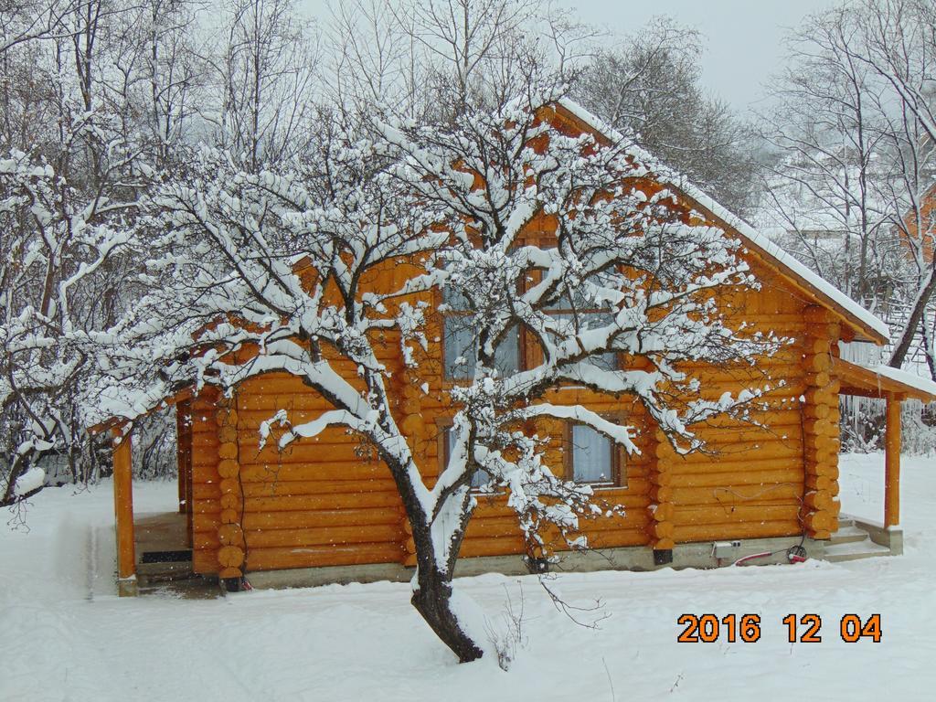 Hotel Casutele Din Moisei Zewnętrze zdjęcie