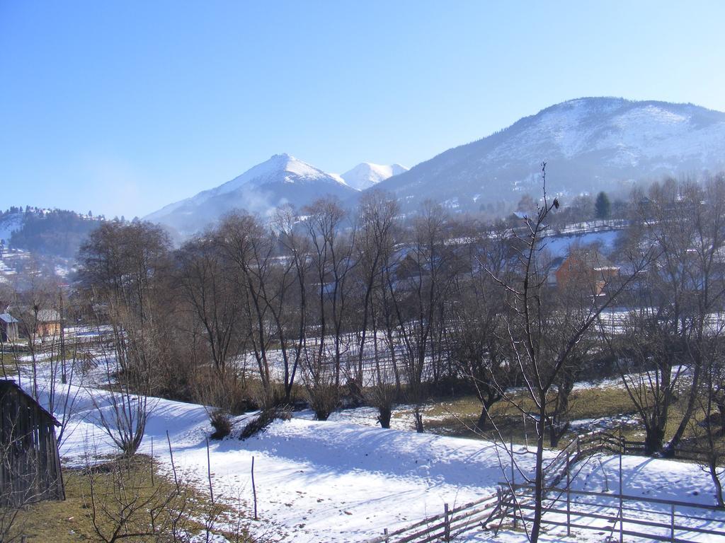 Hotel Casutele Din Moisei Zewnętrze zdjęcie
