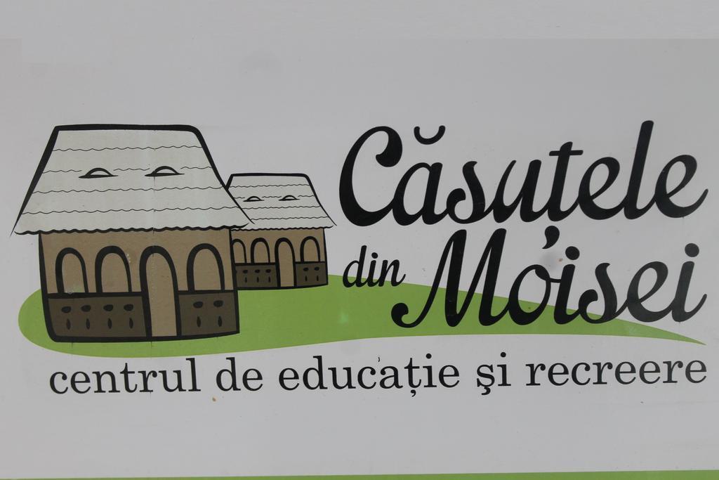 Hotel Casutele Din Moisei Zewnętrze zdjęcie