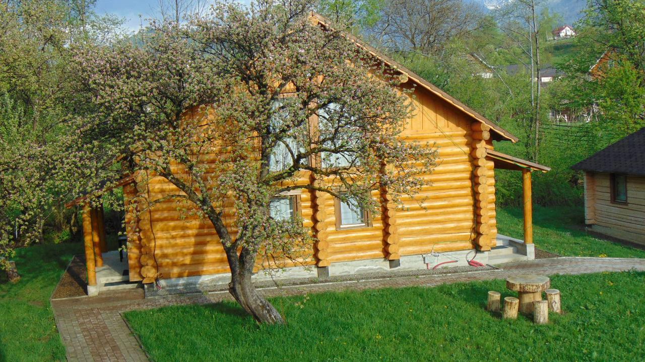 Hotel Casutele Din Moisei Zewnętrze zdjęcie