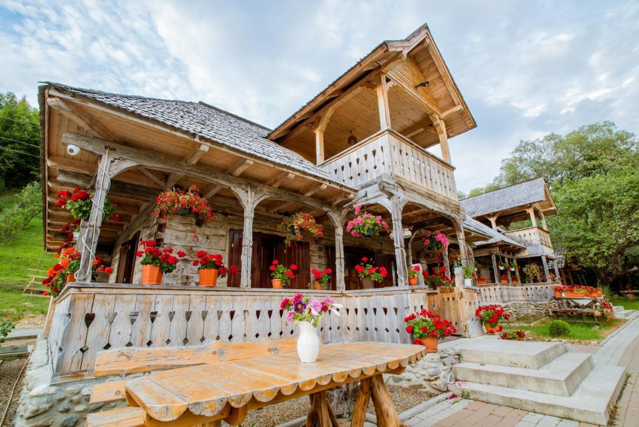 Hotel Casutele Din Moisei Zewnętrze zdjęcie